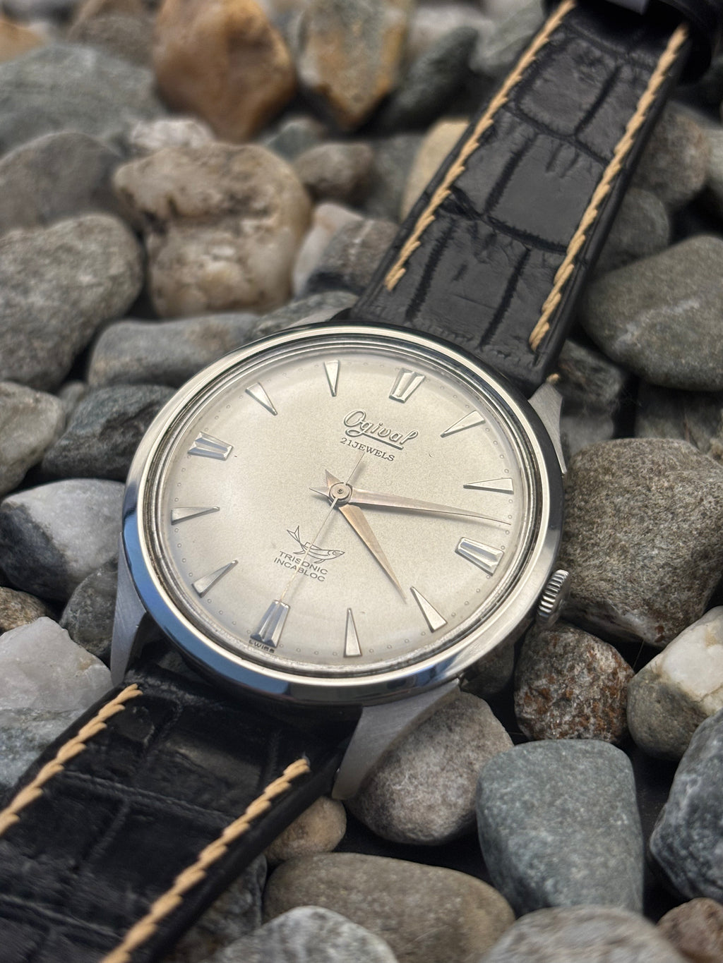 1960s Ogival Fisk Swiss Made Automatic