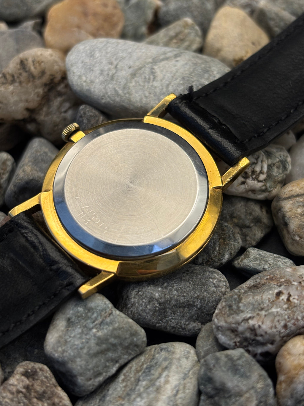 1973 Bulova Tiger's Eye Longchamp Watch