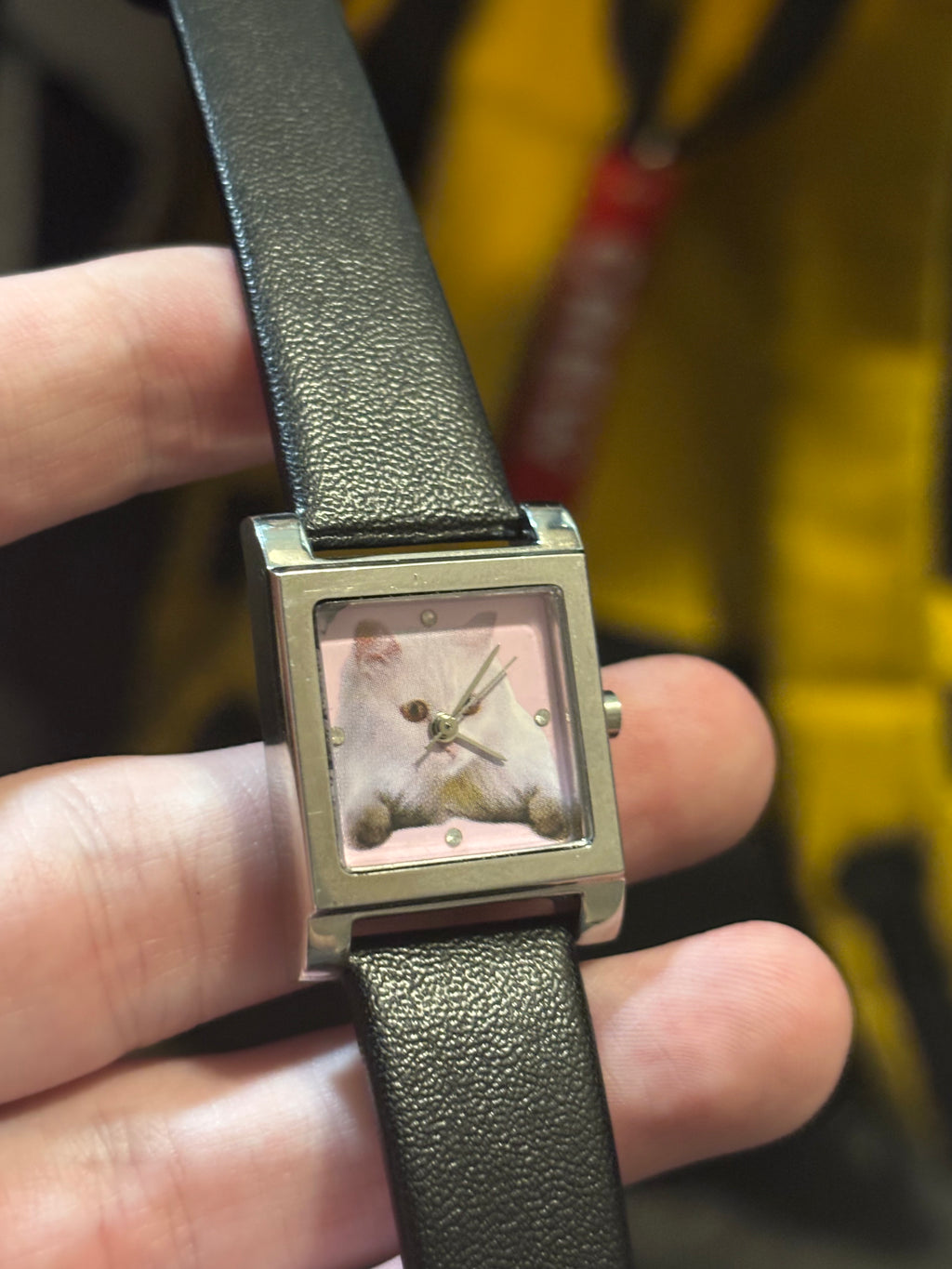 2500 BCE UBER RARE Egyptian Sphinx Watch